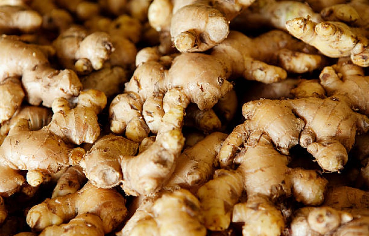 ORGANIC FRESH GINGER from Malawi